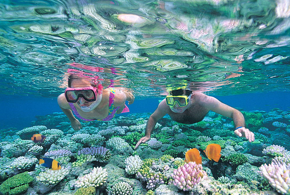 Swim in the Great Barrier Reef in Australia