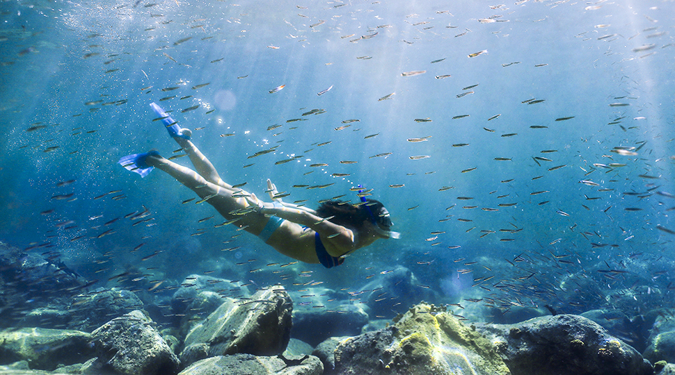 Snorkeling in Blue Waters