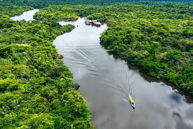 The Amazon Rainforest, Brazil