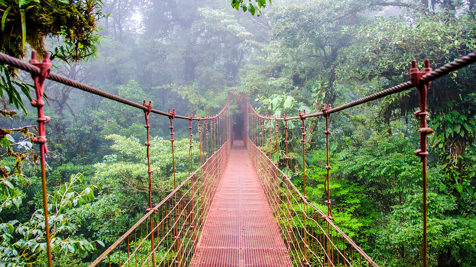 natural wonders of the rainforests in Costa Rica