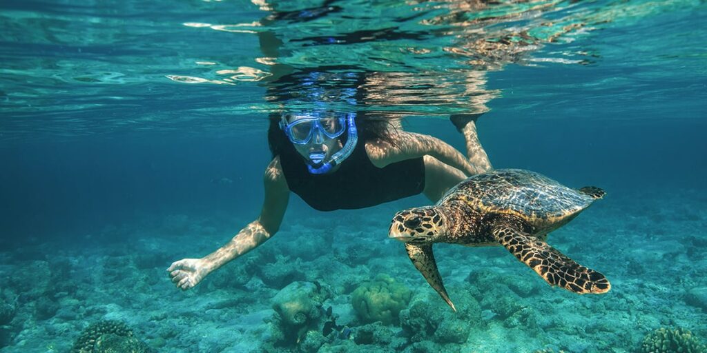 World-Class Snorkeling and Diving