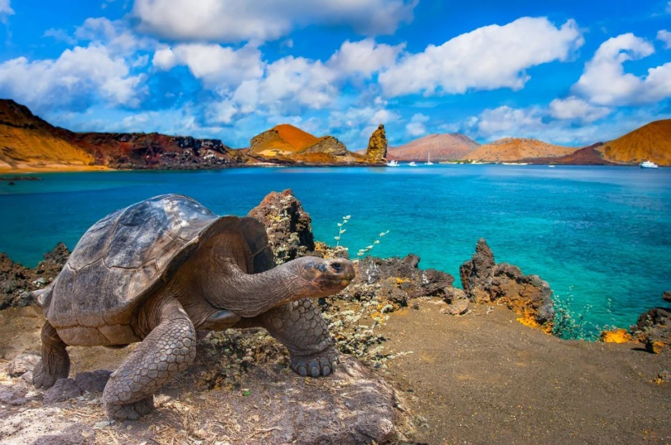 Galapagos Islands