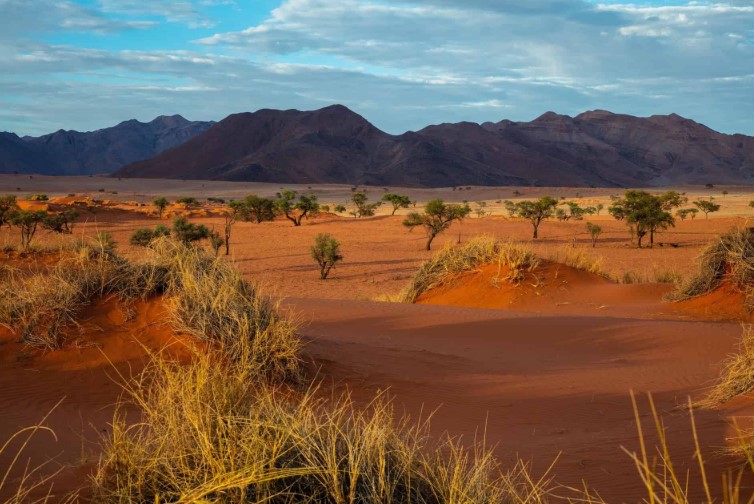 Namib Desert, Namibia