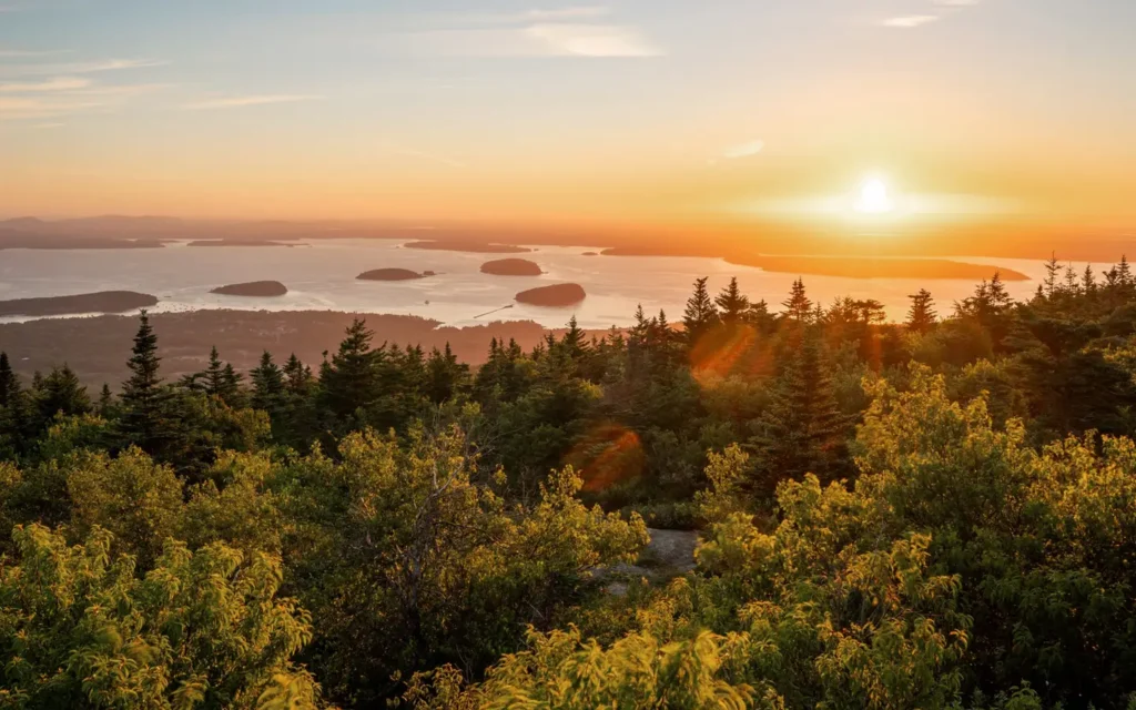 National Park in the summer