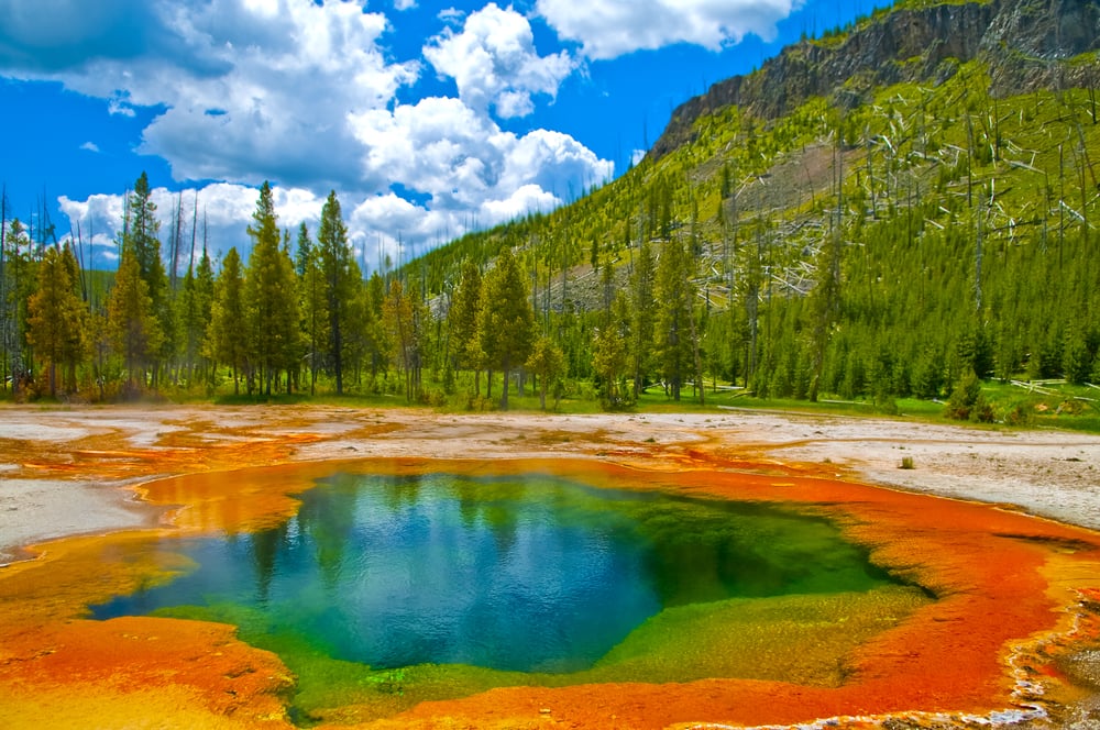 Explore the iconic Yellowstone National Park in the US