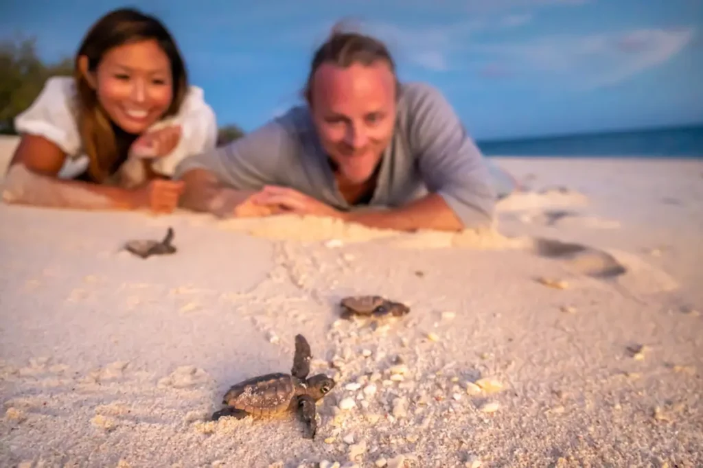 Couples vacations in turtle nesting spots