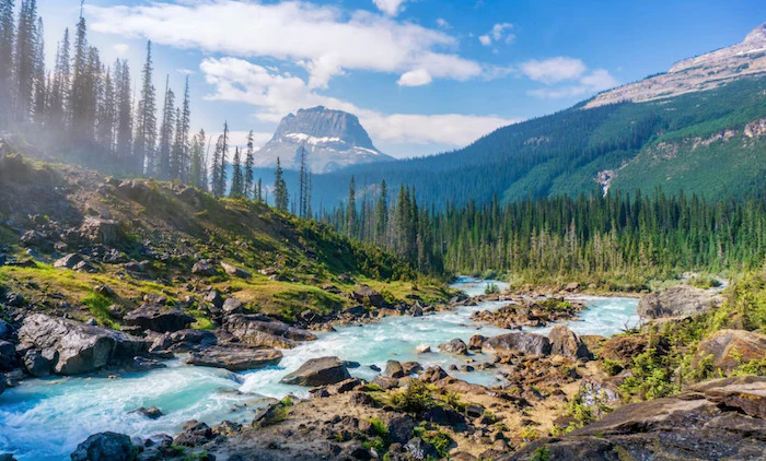 Explore the best national parks in the US