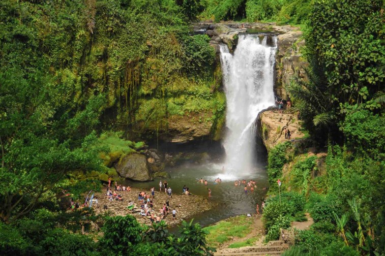 terraced fields and waterfalls of Bali