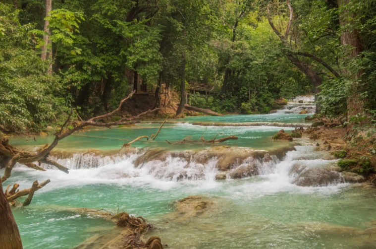 hidden gems in the jungles of Chiapas