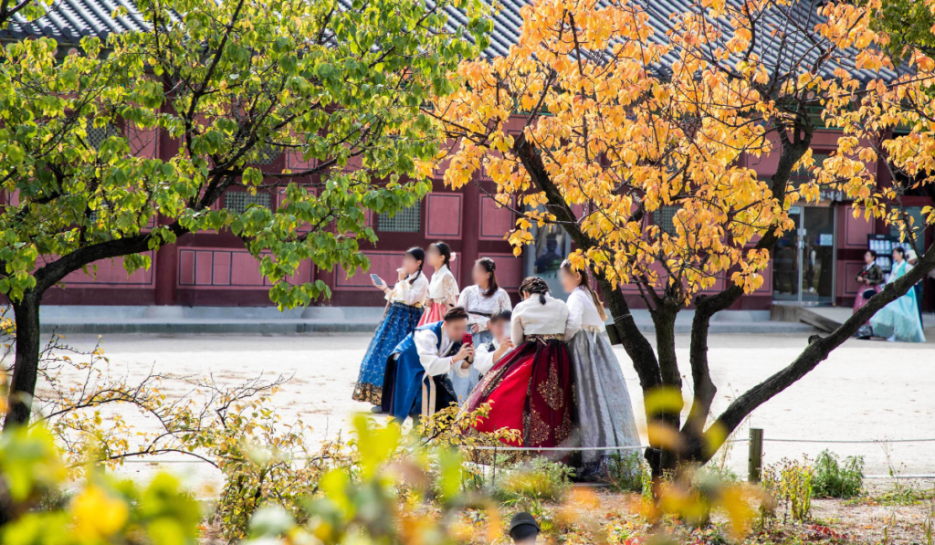 Cultural Experiences Can You Have in South Korea