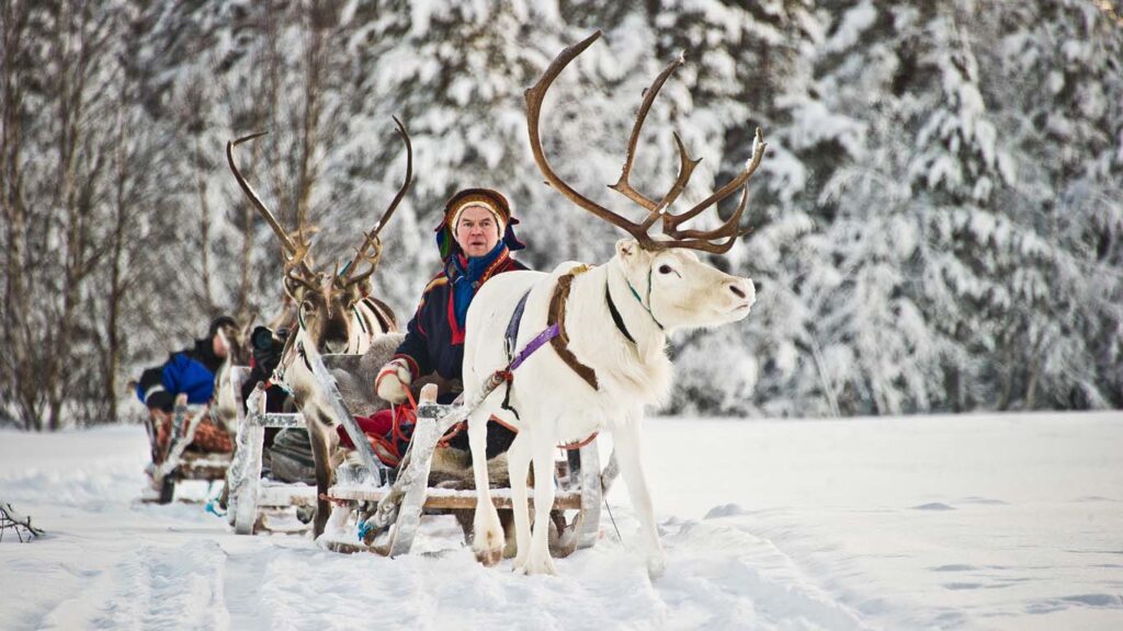 What Activities Can You Do at Kakslauttanen Arctic Resort?