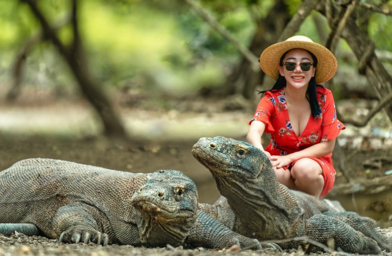 Visiting Komodo Dragons