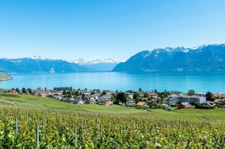 Discovering the Beauty of Lake Geneva and Surrounding Alpine Landscapes