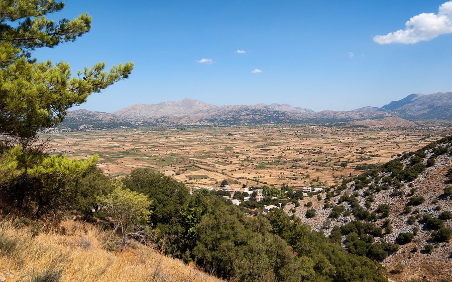 Lush Plateau of Lasithi