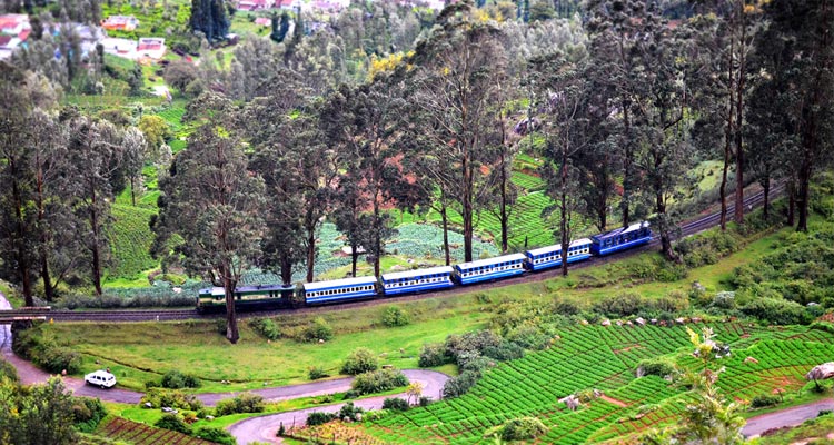 Must-Visit Attractions in Ooty