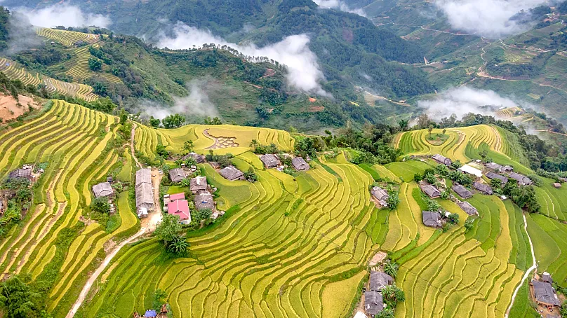 Marvels of Nature: The Banaue Rice Terraces