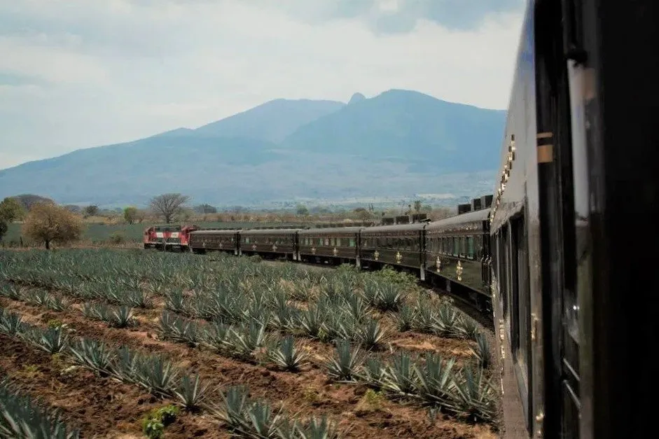 Alternative Transportation Methods from Guadalajara to Tequila