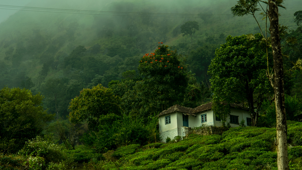 Best Time to Visit Munnar