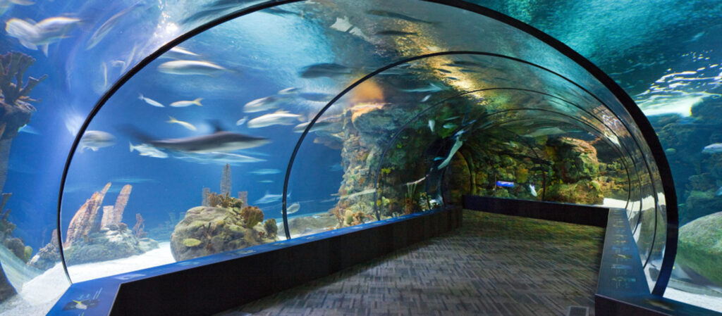 Henry Doorly Zoo and Aquarium