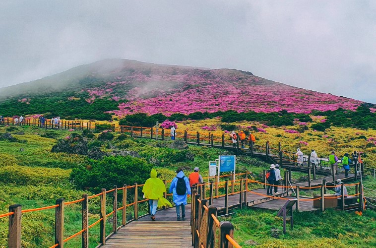 What are the top natural attractions in Jeju?