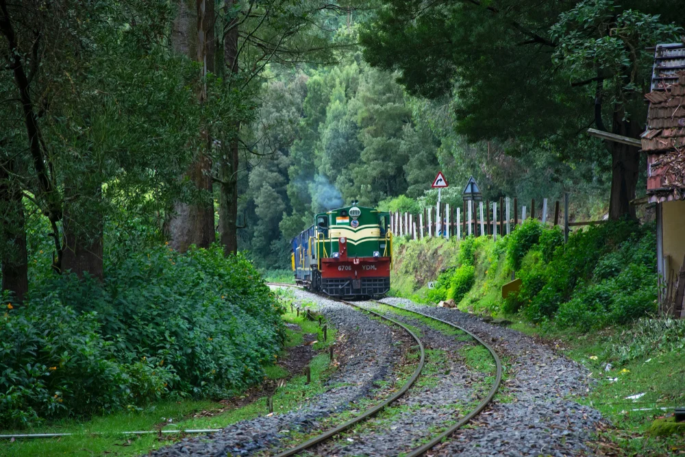 some fun things to do in Ooty