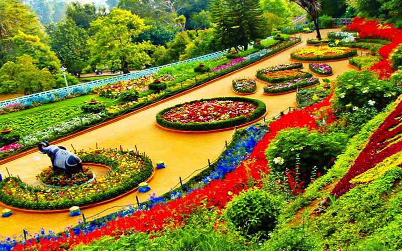 some romantic things to do in Ooty