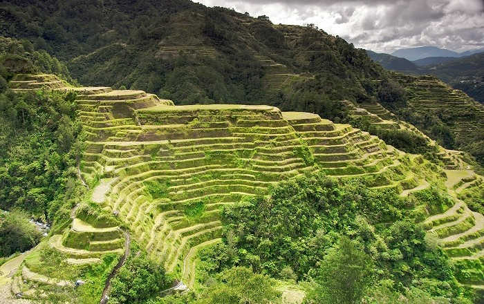 Banaue Rice Terraces