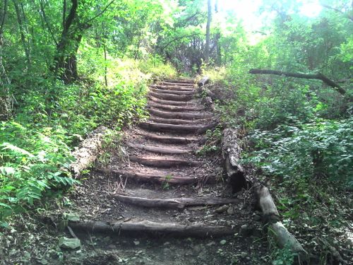 Cedar Ridge Preserve