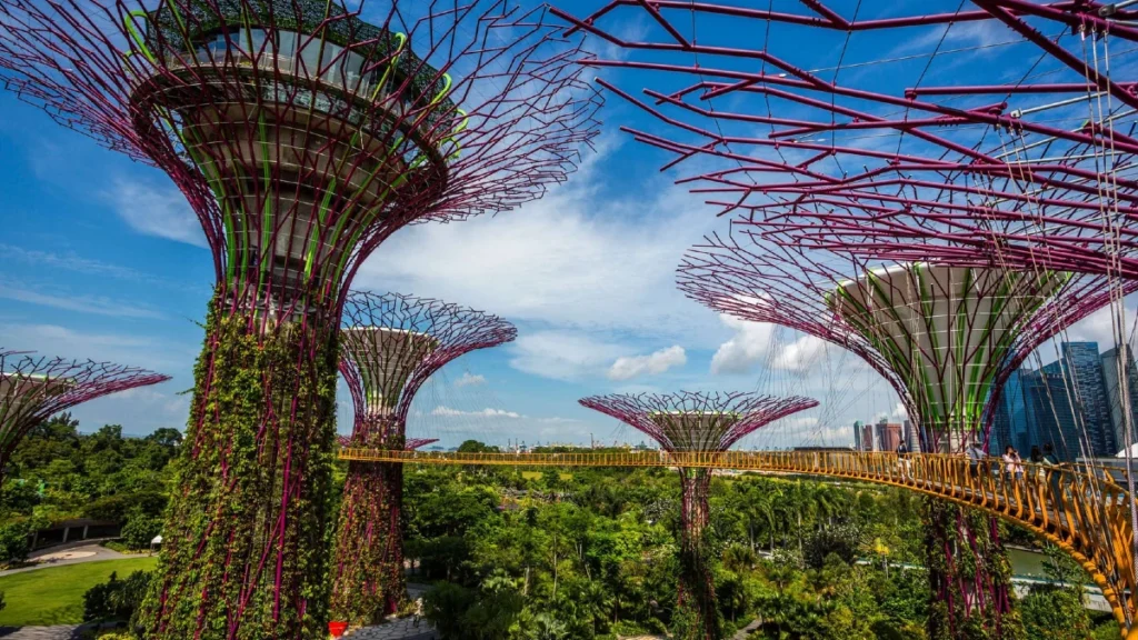 Gardens by the Bay: Witness The Supertrees