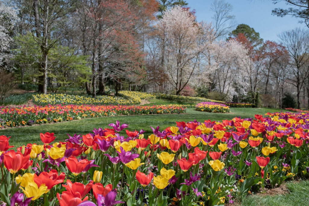 Beautiful Gardens and Parks