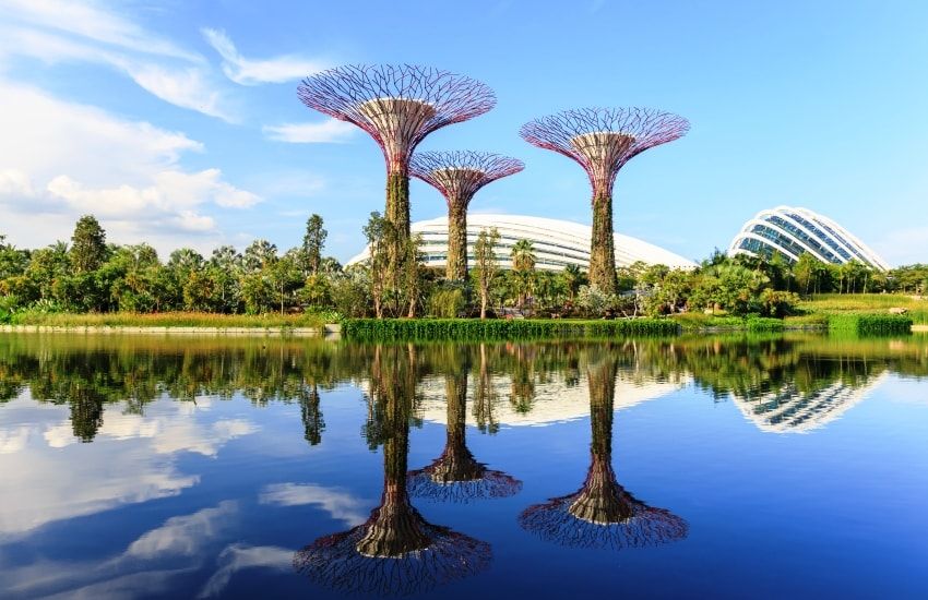 Gardens by the Bay: Get Lost In Nature