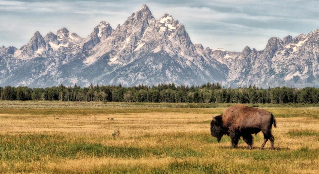 Grand Teton National Park, Wyoming