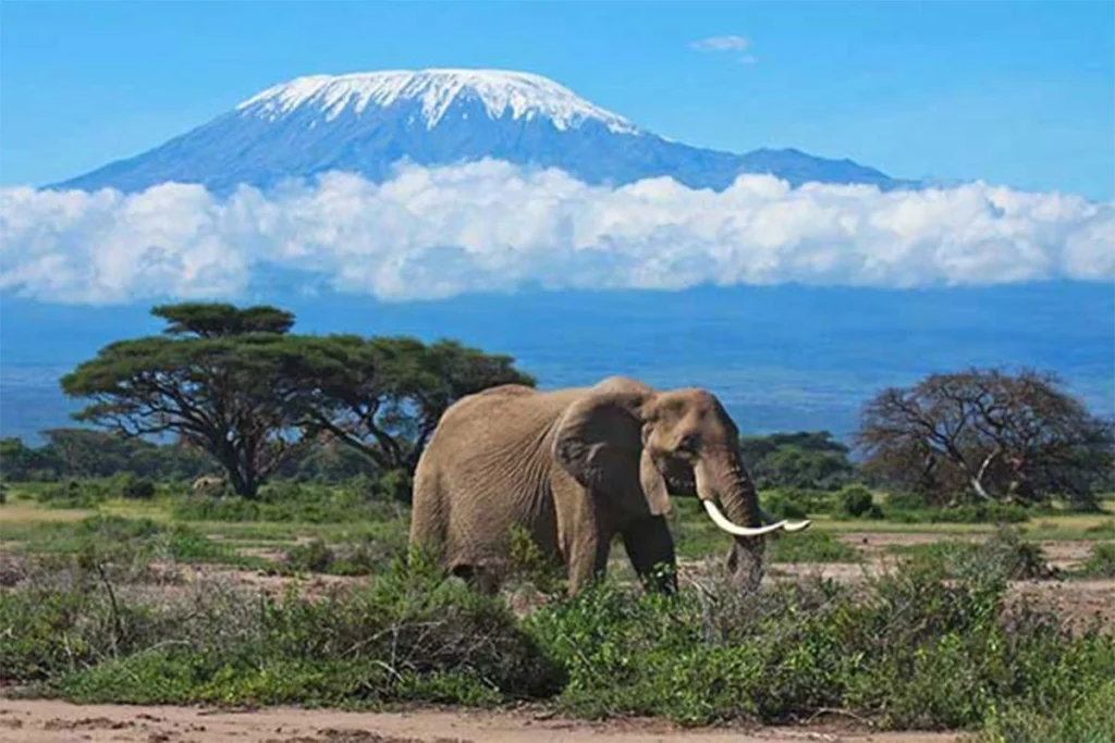 Mount Kilimanjaro in Tanzania