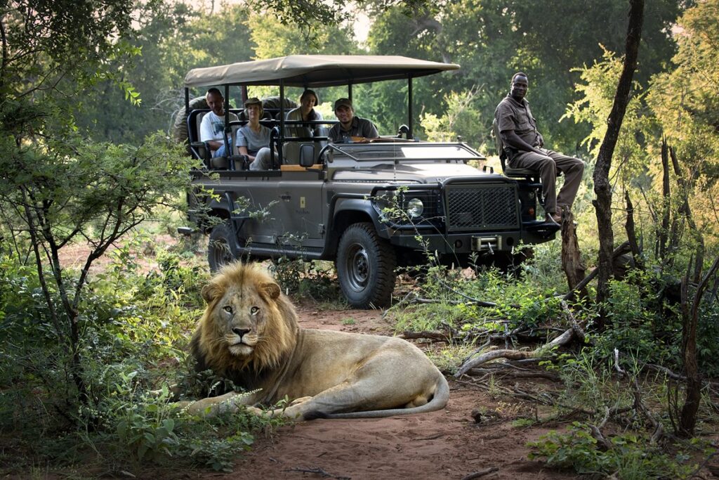 Safari in South Africa