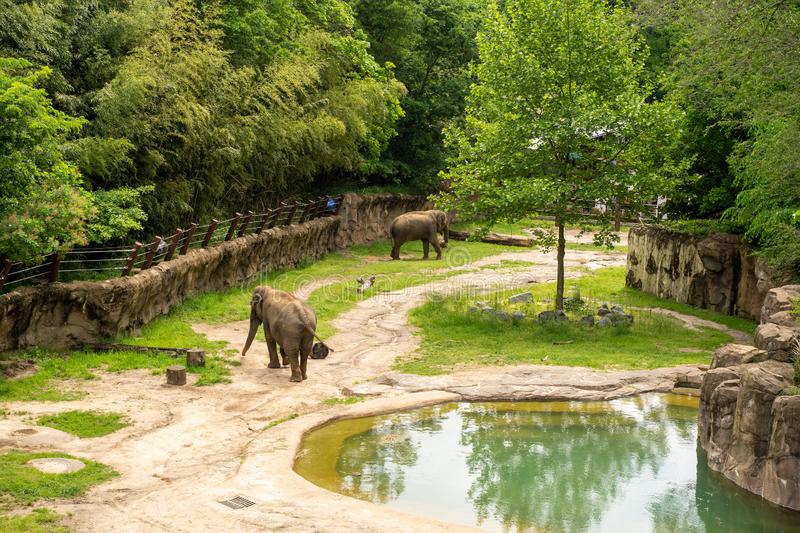 Smithsonian National Zoo