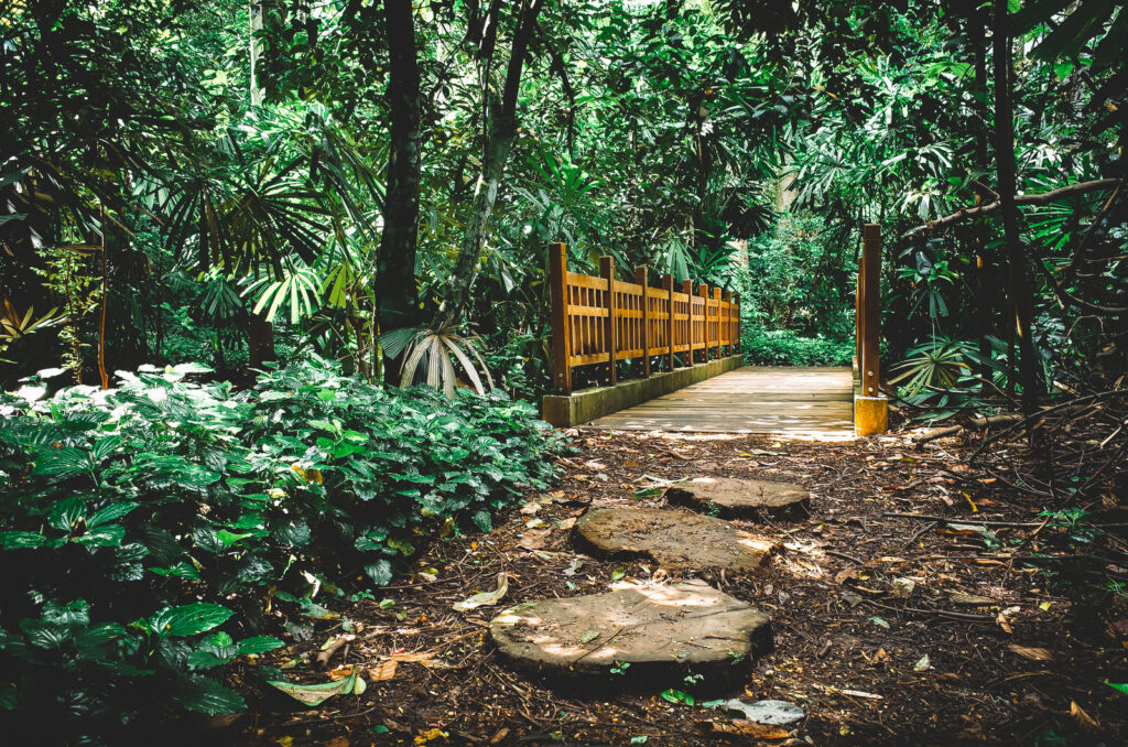 Bukit Timah Nature Reserve