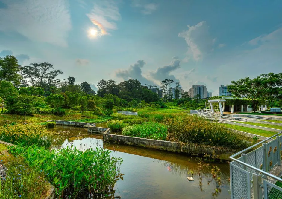 Jurong Eco-Garden