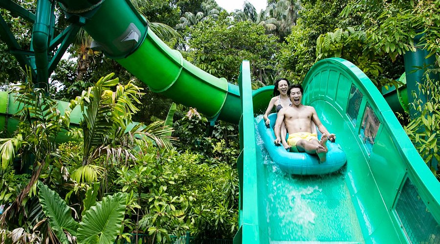 Adventure Cove Waterpark