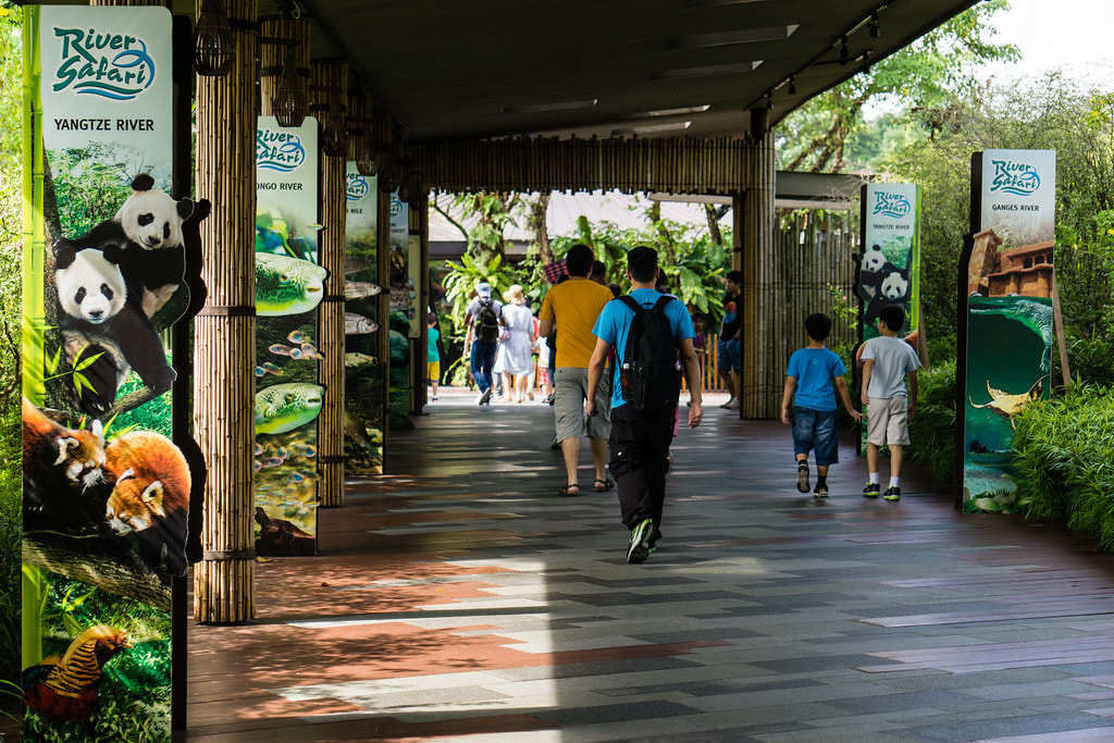 Singapore Zoo